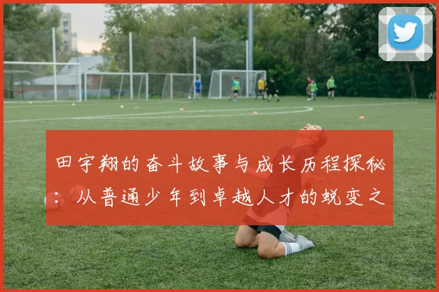 田宇翔的奋斗故事与成长历程探秘：从普通少年到卓越人才的蜕变之路