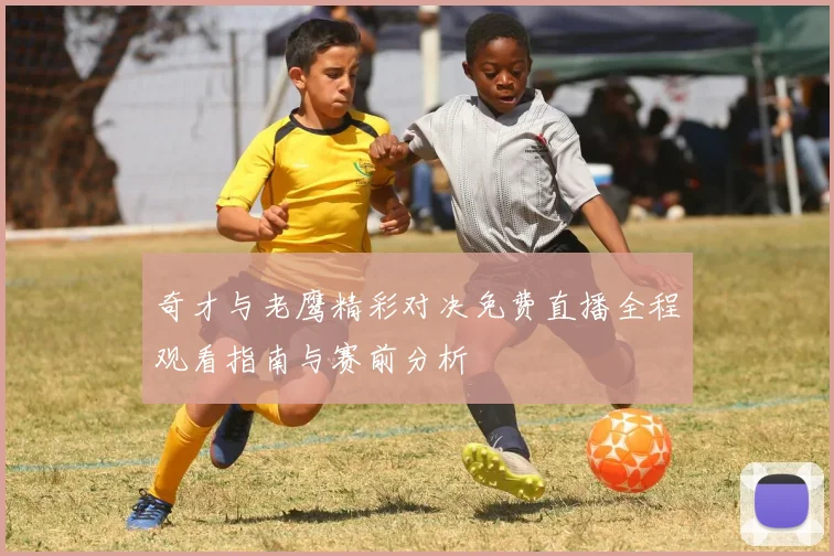 奇才与老鹰精彩对决免费直播全程观看指南与赛前分析