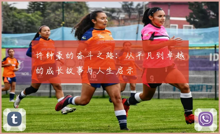 许钟豪的奋斗之路：从平凡到卓越的成长故事与人生启示