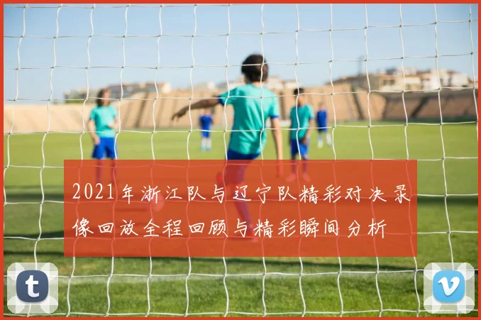 2021年浙江队与辽宁队精彩对决录像回放全程回顾与精彩瞬间分析