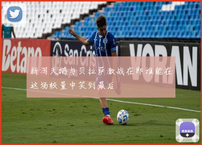 新泻天鹅与贝拉萨激战在即谁能在这场较量中笑到最后